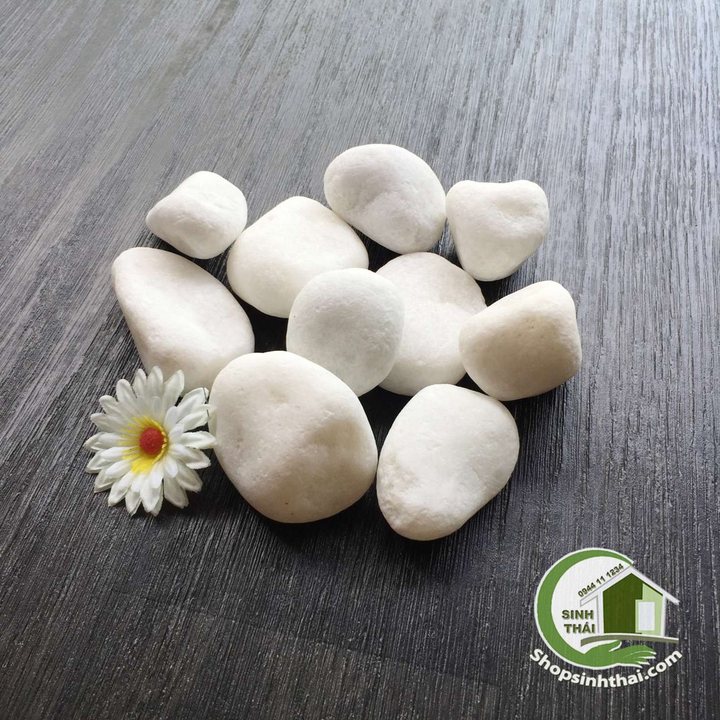 1kg đá sỏi trắng viên lớn, cỡ đại trang trí sân vườn, bể cá, chậu cây, chặn giấy trên bàn