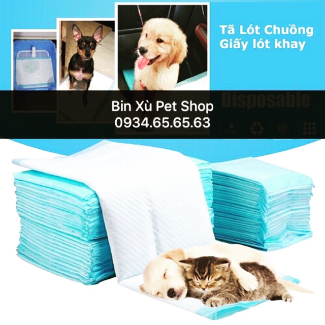 Combo 5 miếng tả lót đa năng cho chó mèo