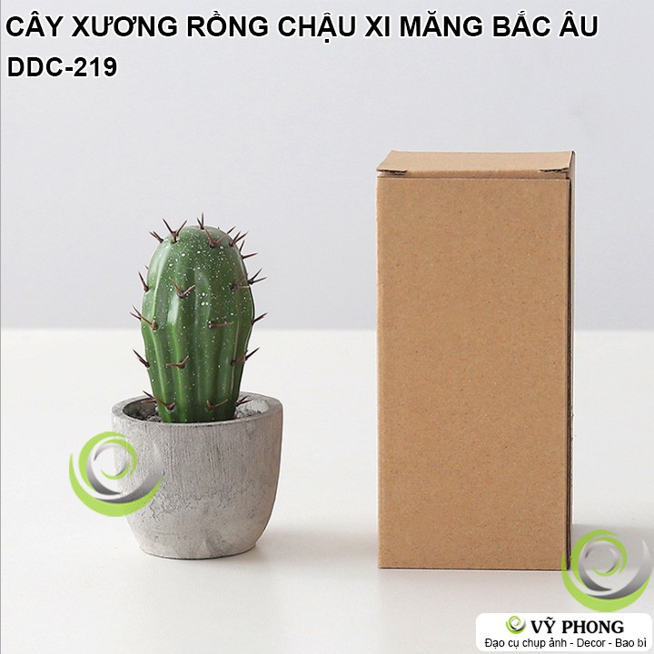 CÂY XƯƠNG RỒNG CHẬU SEN ĐÁ MÔ PHỎNG CHẬU XI MĂNG NORDIC BẮC ÂU TRANG TRÍ ĐẠO CỤ CHỤP ẢNH SẢN PHẨM INS DDC-219