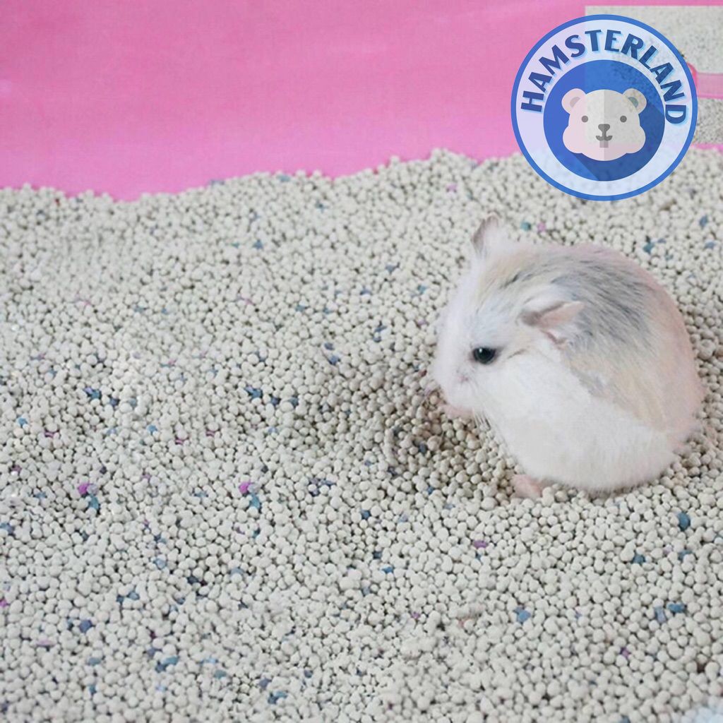 Cát Sand bi Bịch lớn 1kg . Loại ít bụi,ko mùi dùng lót chuồng & nơi vệ sinh Hamster. Vón Cục nhanh, khử mùi tốt