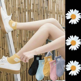 🌈𝐆𝐈𝐀́ 𝐗𝐔̛𝐎̛̉𝐍𝐆💢 com bo 10 đôi tất hoa cúc , vớ hoa cúc