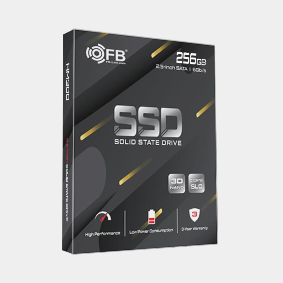 [FreeShip] Ổ CỨNG SSD FB-LINK HM-300 256GB CHÍNH HÃNG BH 3 NĂM | BigBuy360 - bigbuy360.vn