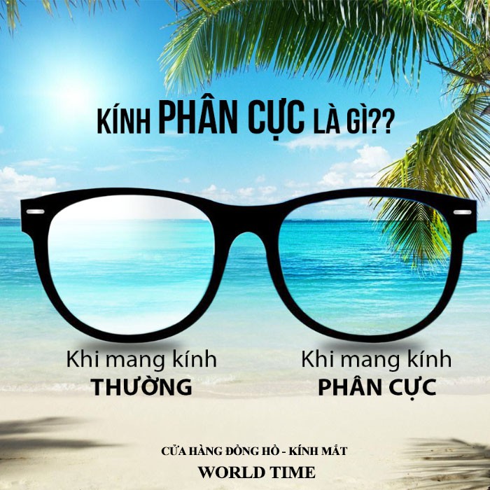 Kính mát nam cao cấp  GC8686 full box, thẻ bảo hành 12 tháng, tròng Polarized, chống chói, chống loá, chống tia UV400