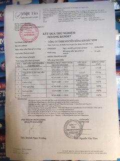 Khẩu Trang YT Hồng Sơn