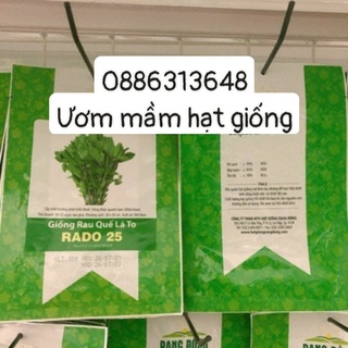 Hạt giống Húng Quế Rado 25 (10g)
