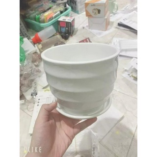 Chậu Sứ Trồng Cây Để Bàn - Cây Cảnh Văn Phòng (11cmx10cm ) Có Kèm Dĩa Đựng Nước