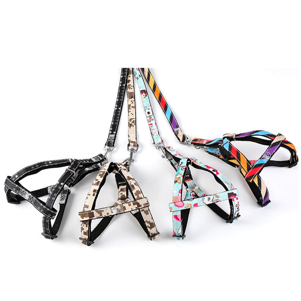 Dây dắt thú cưng đi dạo đa năng tiện lợi