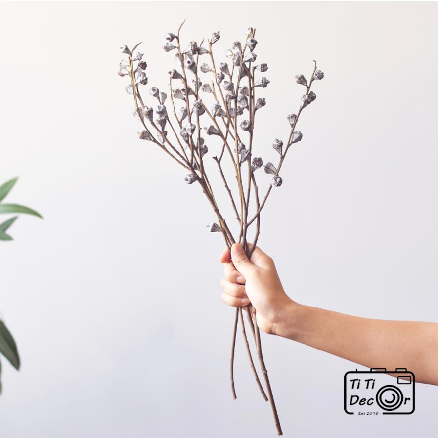 Bó Hoa Bạch Đàn Khô Decor TiTi Decor Cắm Bình Hoa Hoa Khô Trang Trí Phòng Khách Phong Cách Bắc Âu