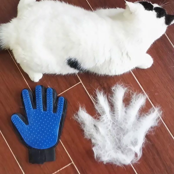 Găng Tay chải lông cho chó mèo - Hàng loại 1 - Dày dặn chải lông thừa siêu sạch