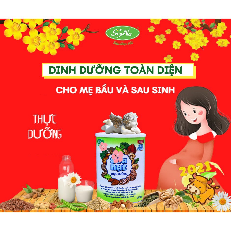 [MUA 2 TẶNG 1] Sữa Hạt Thực Dưỡng SoyNa 800g