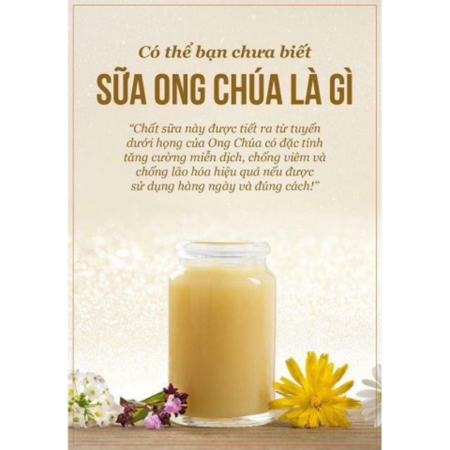 Sữa ong chúa  nguyên chất 100% lọ 100g