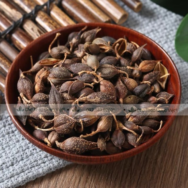 500g Liên Kiều (Qủa Liên Kiều)