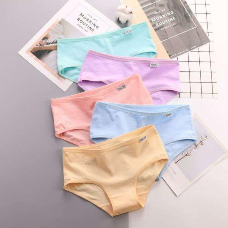 Quần Lót Cotton Màu Trơn Nữ_Quần Lót Pulo Co Giãn Mềm Mịn - LADY