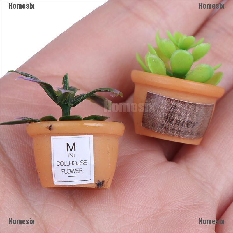 [HoMSI] 4pcs Dollhouse Miniature 1:12 Pot DIY Kitchen Decora Potted plant SUU