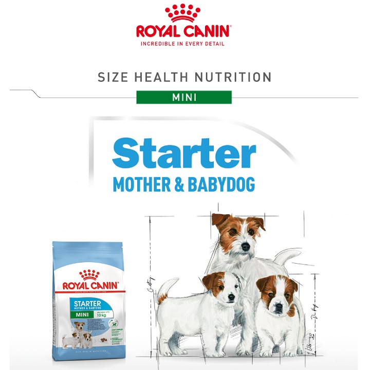 ROYAL CANIN - MINI STARTER MOTHER &amp; BABYDOG [ CHÍNH HÃNG ] - CHO CHÓ MẸ VÀ CHÓ CON GIỐNG NHỎ