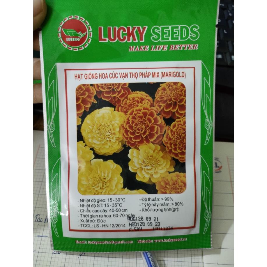 Hạt giống hoa cúc vạn thọ mix màu 50 hạt nhiều màu