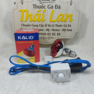 Bộ đèn úm gà con - đạt hiệu quả cao