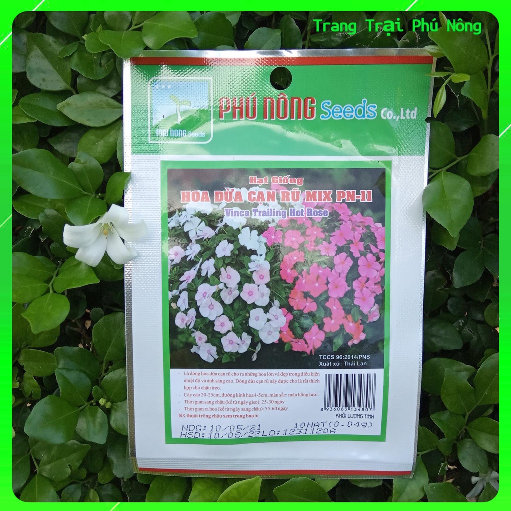 Hạt Giống Hoa Dừa Cạn Rũ Mix PN-11 Phú Nông - Gói 10 hạt (0.04g) - Vinca Trailing Hot Rose