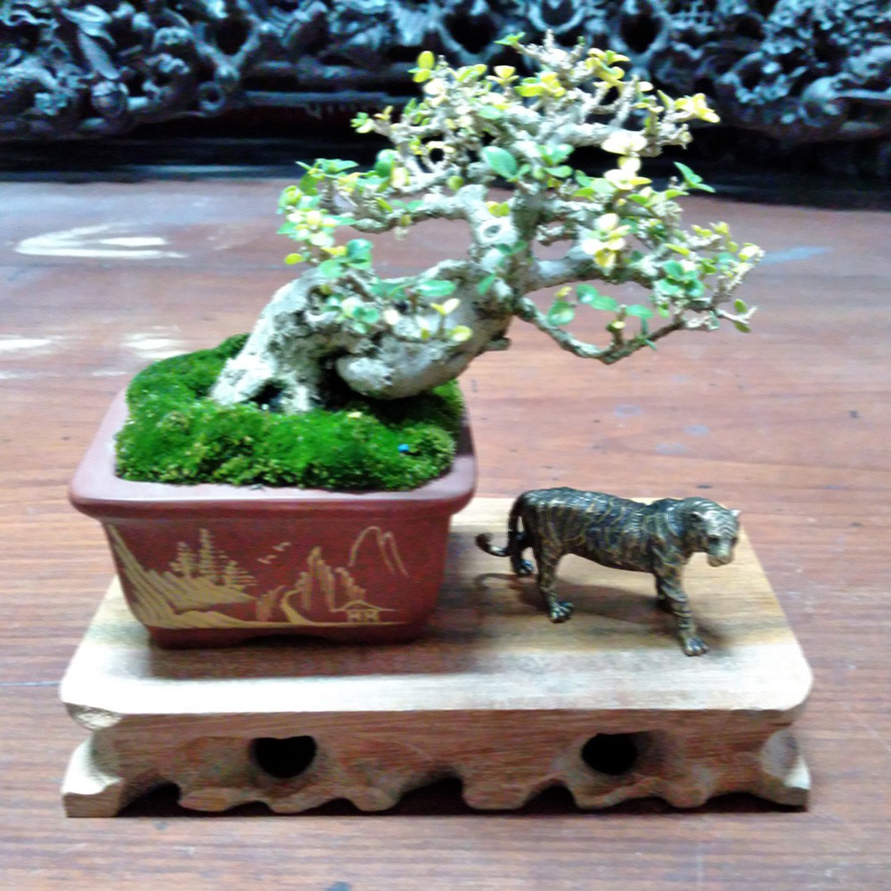 Tượng đồng phong thủy, linh vật bằng đồng làm phụ kiện tiểu cảnh, bày bàn trà, làm quà tặng | BigBuy360 - bigbuy360.vn