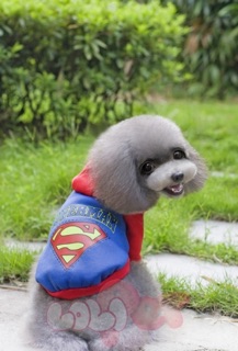 Áo nỉ chó mèo Superman