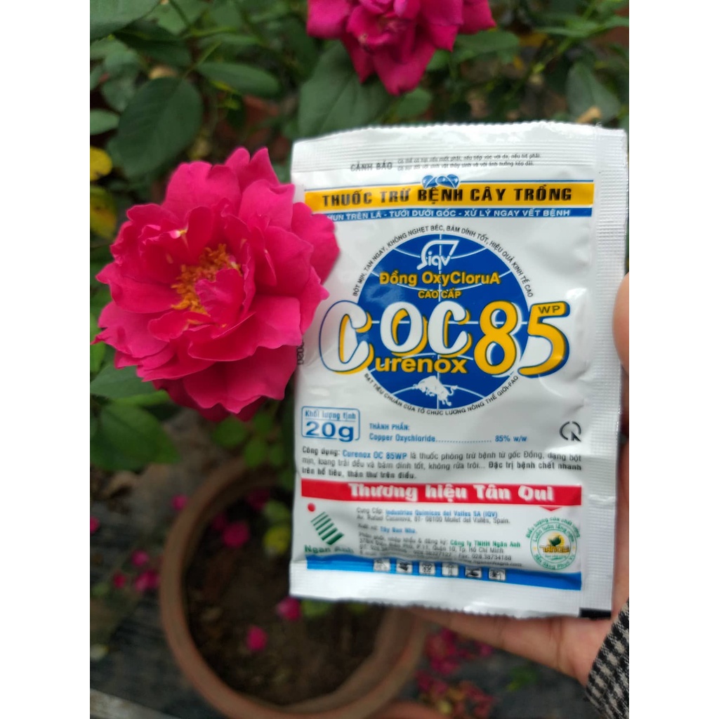 Coc85 trừ nấm đen thân, chết cành, vi khuẩn trên (tr'ị nấm b'ệnh sương mai, đen thân, chết nhanh,... trên cây trồng)
