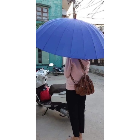 Ô DÙ 24 NAN TÁN TO