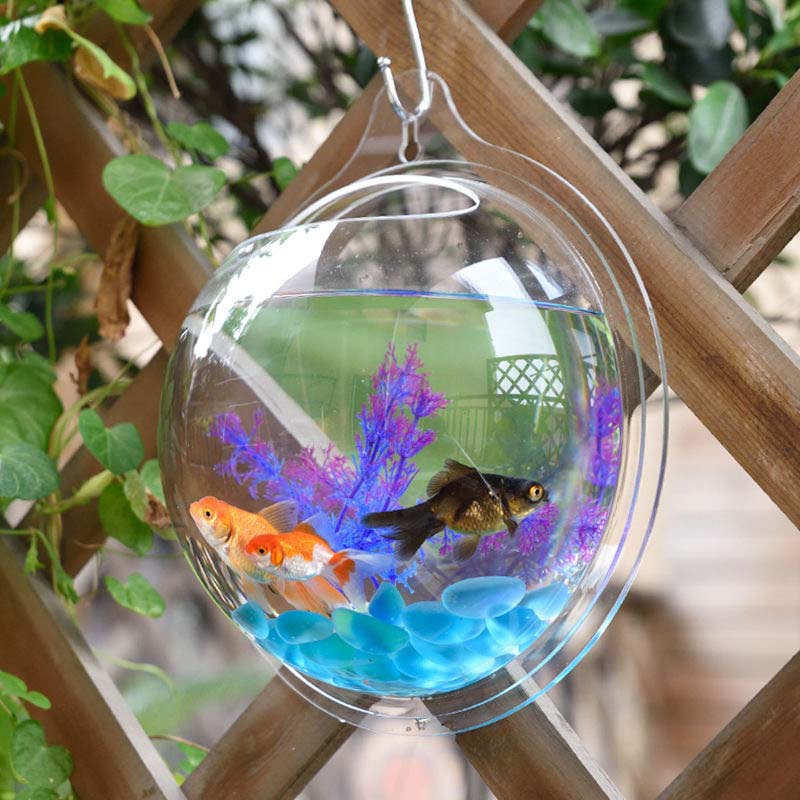 Bể cá treo tường / trồng cây bằng acrylic trang trí nhà đẹp mắt