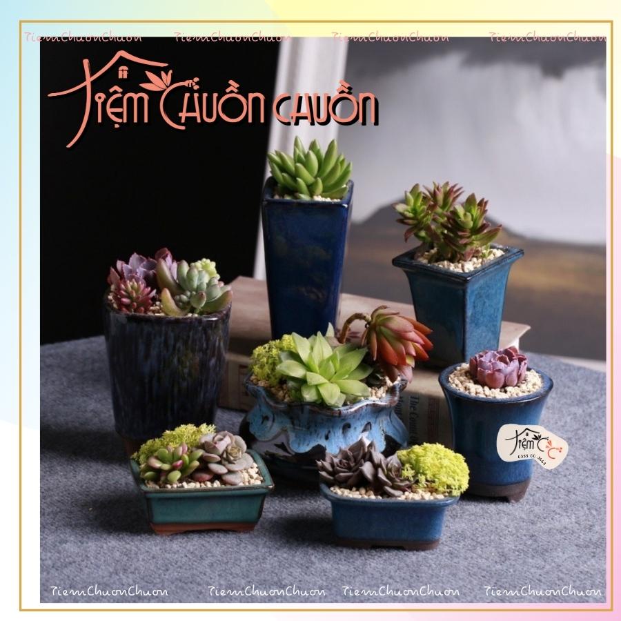 Chậu trồng cây LỖI men HỎA BIẾN Size - Chậu đất nung sen đá - tiemchuonchuon - Tiệm Chuồn Chuồn - Gốm sứ Bát Tràng