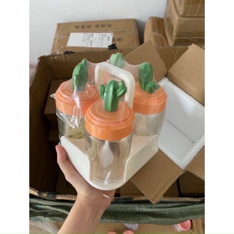 Set 4 Lọ đựng gia vị thủy tinh xương rồng cao cấp, hũ bột canh kèm muỗng thìa đẹp