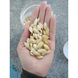 Hạt bí sạch rang tay