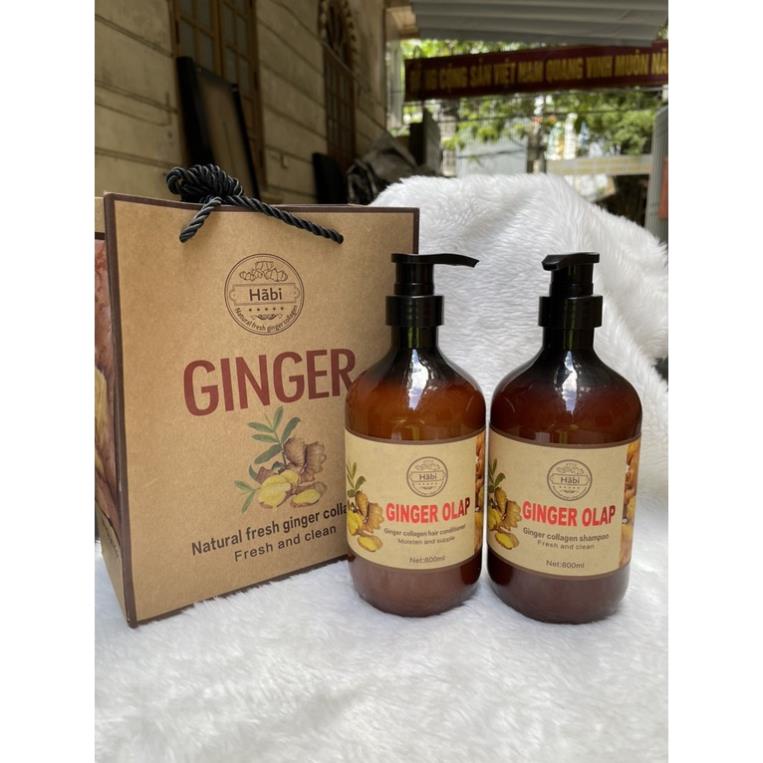 Cặp Dầu Gội Xả Gừng tươi Ginger Olap 800ml x2