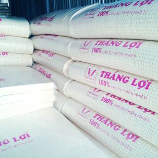Nệm cao su thiên nhiên SiSi Thắng lợi