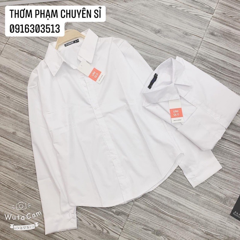 sơ mi trắng nữ cổ đức uni