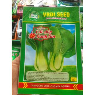Hạt giống cải chíp xanh lùn giá 10k/ gói