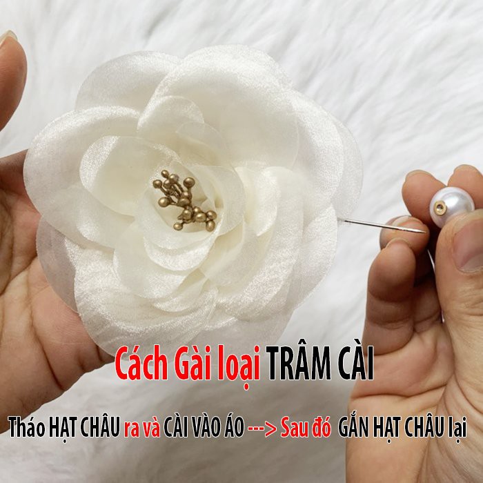 Combo 20 Cái - GOTI Tag Hoa Trà Lớn Cài Áo Có Ghim  001 002 006