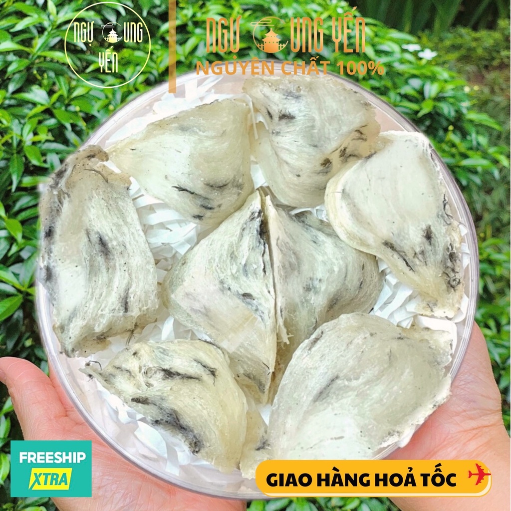 Tổ Yến Sào Thô Tự Nhiên Ngự Cung Yến 100% Nguyên Chất, Bổ Dưỡng 10gr