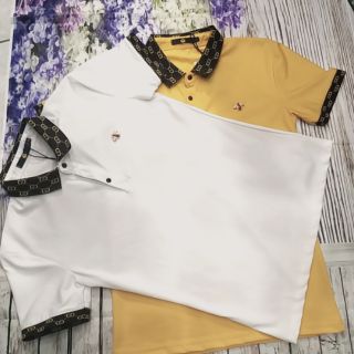 Áo phông cổ bẻ nam