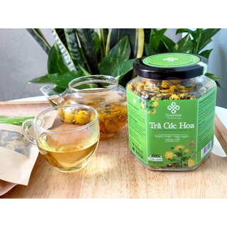 Trà Cúc Hoa Sấy Sấy Lạnh (Date 30/03/2022)