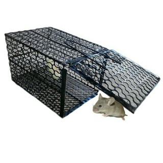 Bẫy chuột Hà Đông, lồng tái sử dụng nhiều lần.