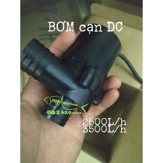 Bơm cạn không chổi than DC24V