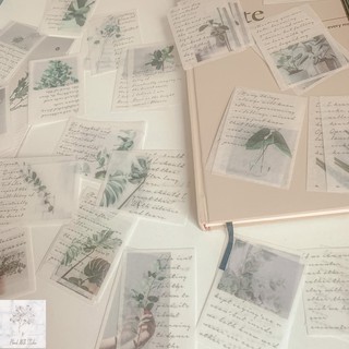 ST019 - STICKER THIÊN NHIÊN NGHỆ THUẬT