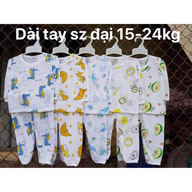 Bộ dài tay cotton giấy size đại 15-22kg cho bé