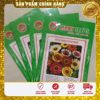 Hạt giống hoa Cúc Chi mix (100 hạt )