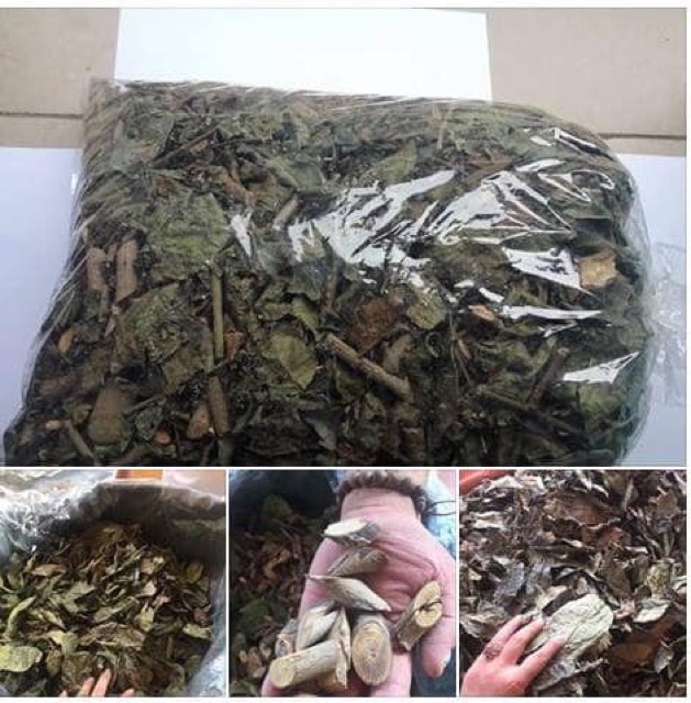1Kg xạ đen hoà bình giúp phòng và hỗ trợ điều trị ung thư