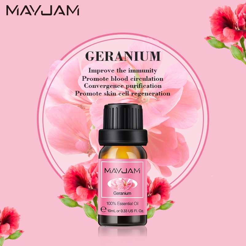 Tinh Dầu Chiết Xuất Hoa Cúc Tự Nhiên Mayjam 10ml chamomile rosemary lemongrass for room aromatherapy