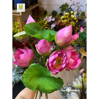 Hoa sen giả hoa sen lụa đẹp siêu cao cấp đẹp tự nhiên như thật bông sen giả