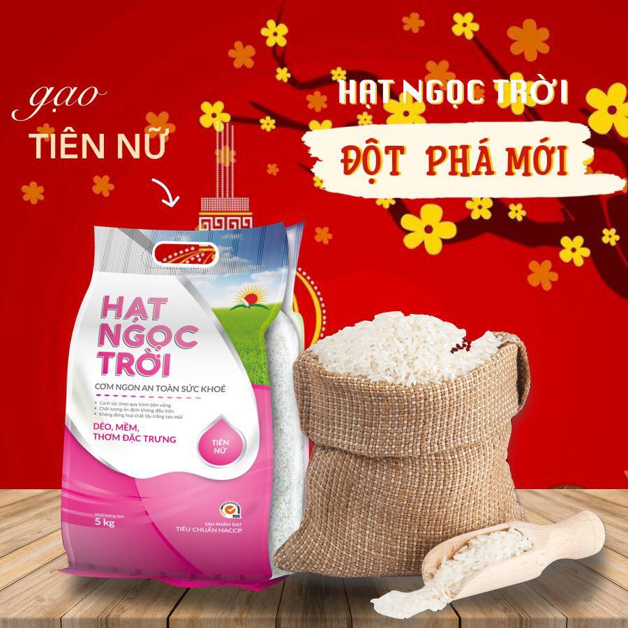 Gạo Hạt Ngọc Trời Tiên Nữ 5kg - giá sỉ