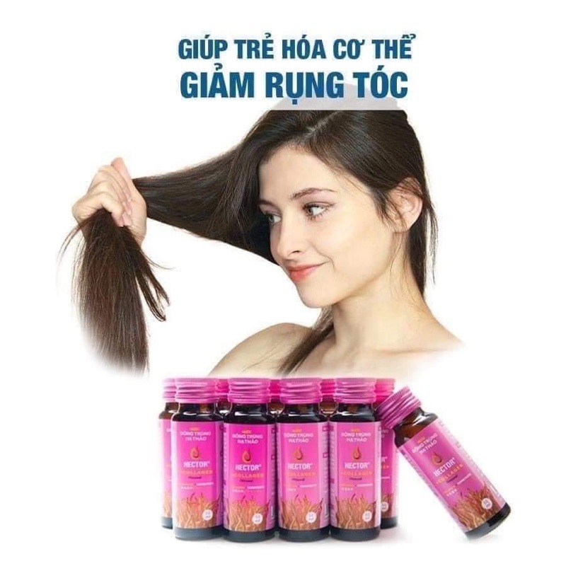 [Chính Hãng  - TĂNG QUÀ ] Nước Hector Collagen Đông Trùng Hạ Thảo 1 hộp 10 chai