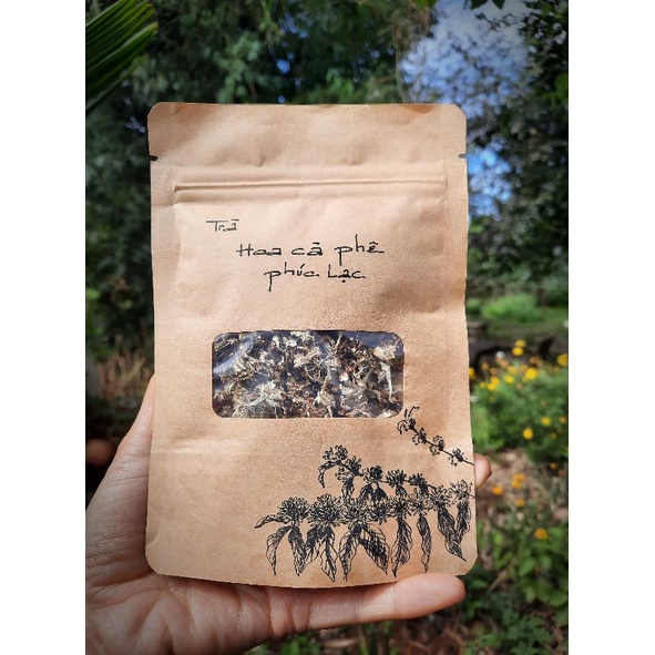 Trà hoa cà phê PHÚC LẠC Organic gói 10gr