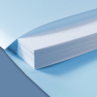 Túi cúc , túi clear bag họa tiết đáng yêu